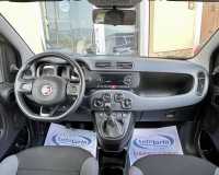 Fiat Panda 1.2 Easy S&S 69cv my19 "Adatta anche per neopatentati" (Mancorrenti - Vetri Privacy - Fasce paracolpi - Clima - USB)