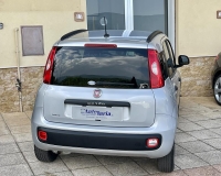 Fiat Panda 1.2 Easy S&S 69cv my19 "Adatta anche per neopatentati" (Mancorrenti - Vetri Privacy - Fasce paracolpi - Clima - USB)