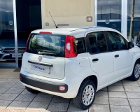 Fiat Panda 1.3 MJT 95CV Easy S&S my19 " Auto Aziendale con soli 64 mila KM - Pari al nuovo"