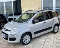 Fiat Panda 1.2 Easy S&S 69cv my19 "Adatta anche per neopatentati" (Mancorrenti - Vetri Privacy - Fasce paracolpi - Clima - USB)