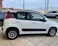 Fiat Panda 1.2 Lounge "Uconnect Bluetooth - Clima automatico -Volante multifunzione - V° Posto"