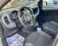 Fiat Panda 1.2 Easy S&S 69cv my19 "Adatta anche per neopatentati" (Mancorrenti - Vetri Privacy - Fasce paracolpi - Clima - USB)