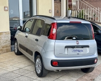 Fiat Panda 1.2 Easy S&S 69cv my19 "Adatta anche per neopatentati" (Mancorrenti - Vetri Privacy - Fasce paracolpi - Clima - USB)