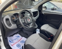 Fiat Panda 1.2 Lounge "Uconnect Bluetooth - Clima automatico -Volante multifunzione - V° Posto"