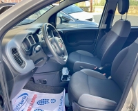 Fiat Panda 1.2 Easy S&S 69cv my19 "Adatta anche per neopatentati" (Mancorrenti - Vetri Privacy - Fasce paracolpi - Clima - USB)