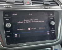 Volkswagen Tiguan 1.6 TDI 116 CV R-LINE "Fari Full Led+Gruppi ottici posteriori a led+ Quadro digitale+ Cerchi da 19°"