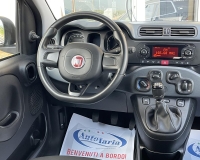 Fiat Panda 1.2 Easy S&S 69cv my19 "Adatta anche per neopatentati" (Mancorrenti - Vetri Privacy - Fasce paracolpi - Clima - USB)