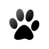 Captcha image 9116